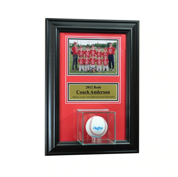 Wall Mounted Baseball Case with 5x7 and Engraving Plate for Individual Award