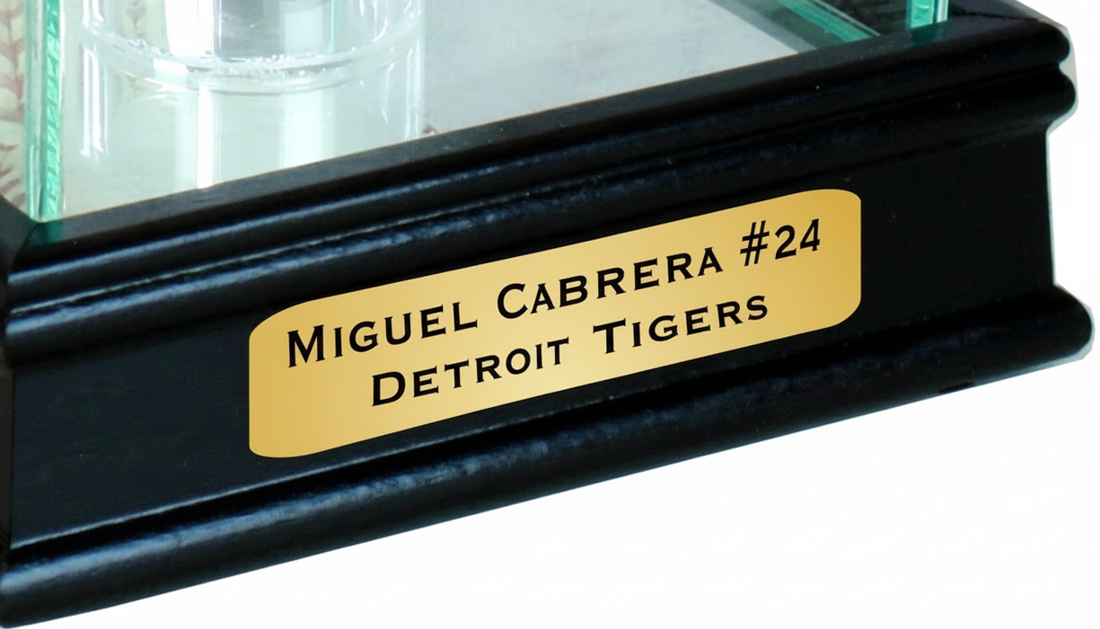 1/4 Scale Figurine Glass Display Case - Collectible Figures - Game Day Treasures