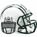 Dartmouth Big Green Riddell Mini Speed Helmet - Game Day Treasures